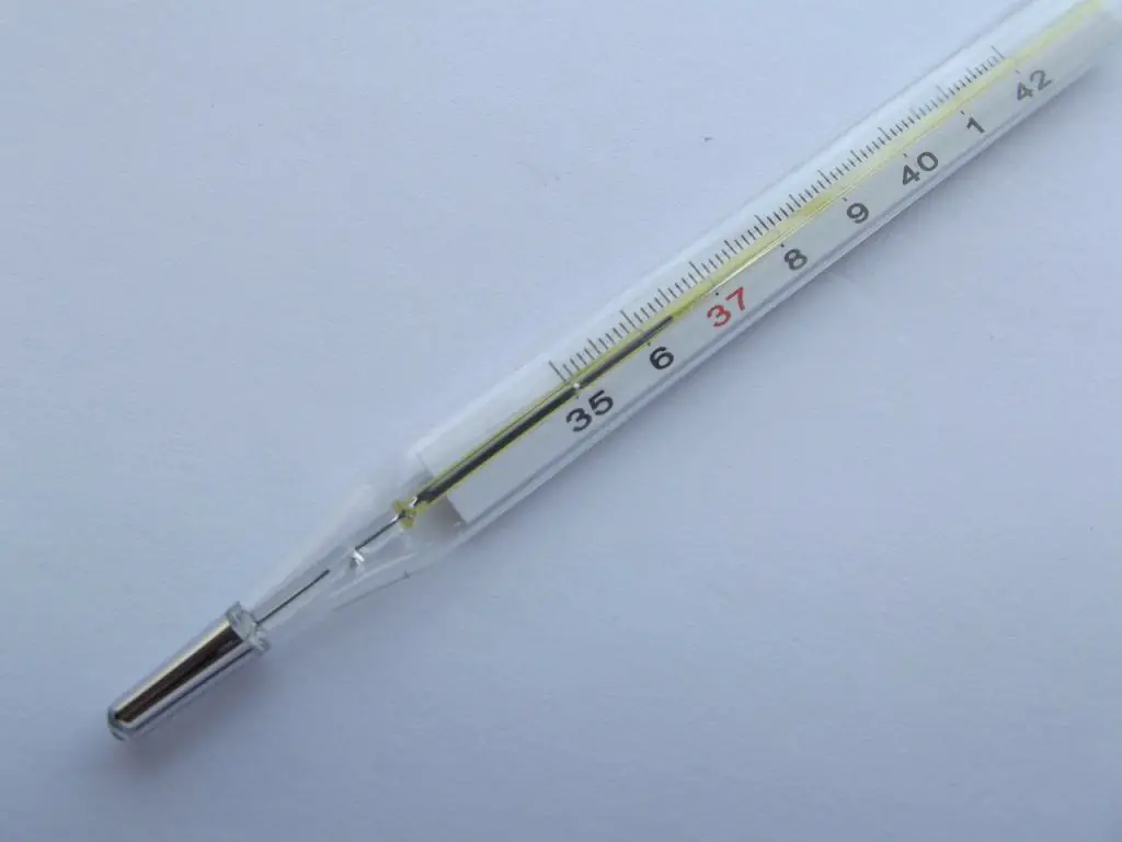 thermometer, temperature, instrument