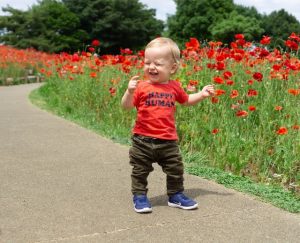 A baby in a flower maze